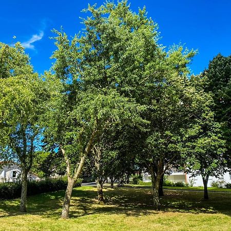 T3 Moderne Avec Balcon Terrasse Et Parking Gratuit Apartment Niort Exterior foto