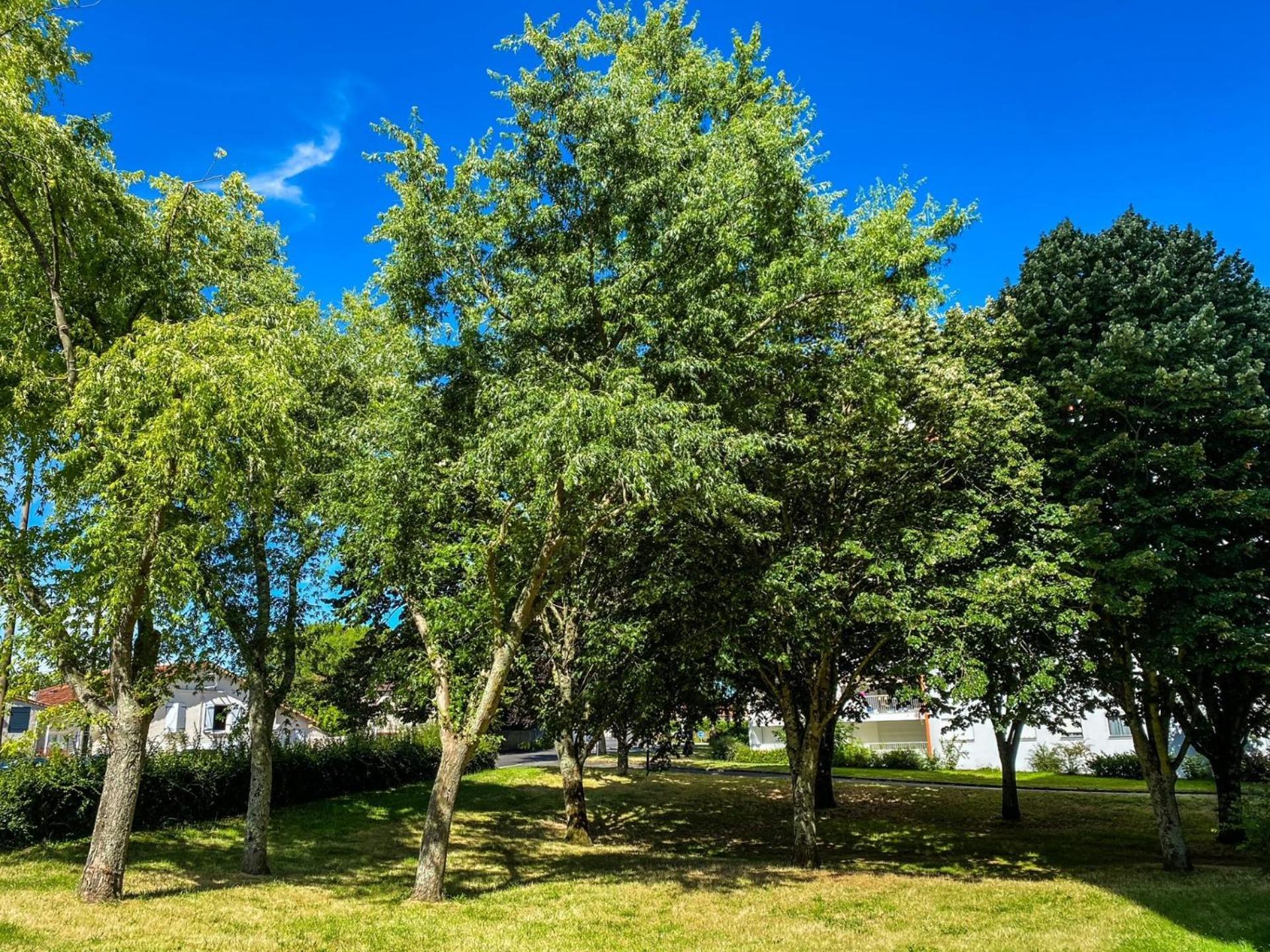 T3 Moderne Avec Balcon Terrasse Et Parking Gratuit Apartment Niort Exterior foto